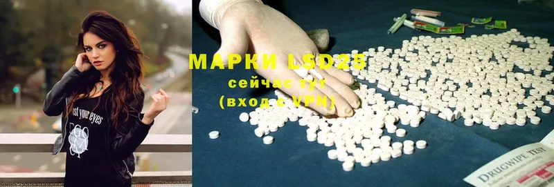 продажа наркотиков  darknet клад  LSD-25 экстази ecstasy  Шагонар 